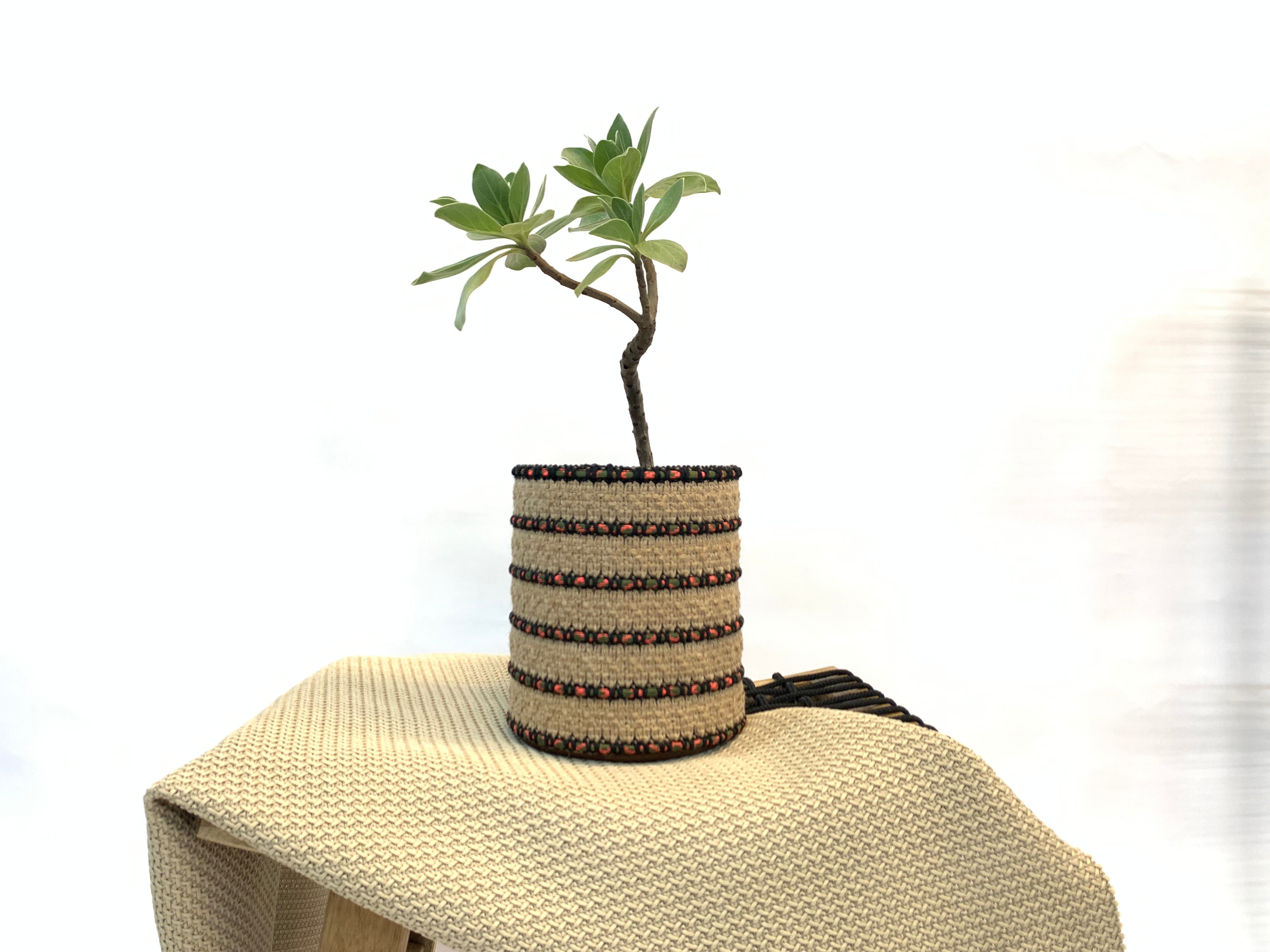 Best Planter Basket