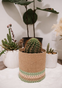 plant basket