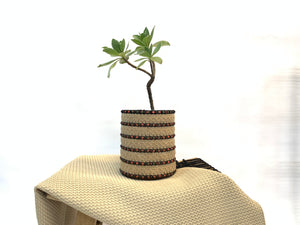 Best Planter Basket